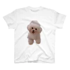 わんこのけいとのもふもふけいとさん スタンダードTシャツ