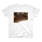 arcovero*designの交聲する小宇宙 Regular Fit T-Shirt
