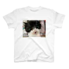 nekousagi*∩..∩の保護猫うるうるPちゃん スタンダードTシャツ