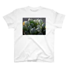 Hal.succulets forestの多肉植物 ハオルチア スタンダードTシャツ