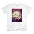kiisaのgalaxy tree スタンダードTシャツ