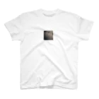 wasi-0721のズタズタ美学 Regular Fit T-Shirt