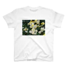 bitpiyoの黄色い薔薇の花 Regular Fit T-Shirt