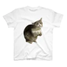 むっちり猫のむっちり丸のちょうだい！ミロ姫！ Regular Fit T-Shirt