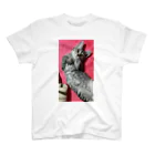 Grayの可愛げがあった頃の猫です｡ Regular Fit T-Shirt