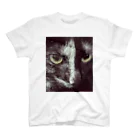 akitadaijinのサビ猫シータ Regular Fit T-Shirt