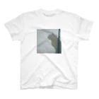 狸の信楽焼の影猫 スタンダードTシャツ