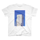 同心円の建造物 Regular Fit T-Shirt