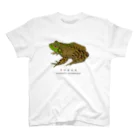 さちこの生物雑貨のウシガエル スタンダードTシャツ