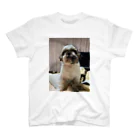 bhrm8888の愛犬シーズ スタンダードTシャツ