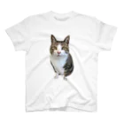 ねこぽてちのポテチくん Regular Fit T-Shirt