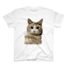 ジョリーマンダリンのCute cat. Regular Fit T-Shirt