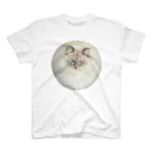 まんまる猫いれぶんのまんまる猫いれぶん スタンダードTシャツ