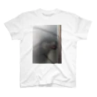 ぽ😃の磨りガラスからの視線 Regular Fit T-Shirt
