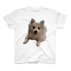 DACHSHUNDenpのツムツムT2 Regular Fit T-Shirt