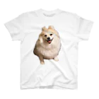 DACHSHUNDenpのツムツムT3 Regular Fit T-Shirt