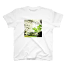 C_G_Yungのforest Regular Fit T-Shirt