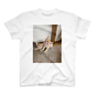 ANAROGUの可愛い猫 スタンダードTシャツ