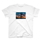 星のこどもたちの百日紅の夕景 スタンダードTシャツ