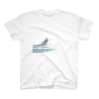 タニチャスのblur スタンダードTシャツ