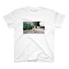 MIKIMOの近所のねこシリーズ Regular Fit T-Shirt