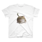 Tabby-catのもふもふとらねこ スタンダードTシャツ