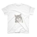 Tabby-catのふんわりとらねこ スタンダードTシャツ