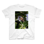 ふよだすの花を吸うミツバチ Regular Fit T-Shirt