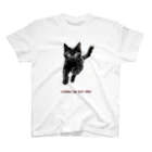 日向ぼっこの黒猫ちも スタンダードTシャツ