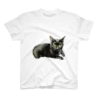 猫和尚のＴシャツ屋さんのせんべい君 スタンダードTシャツ