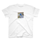 DROOMの自然と蒼い鳥 スタンダードTシャツ