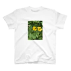 kujiradonirukadonのなんかの花とハチ スタンダードTシャツ