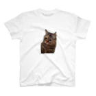 猫ミームグッズの【猫ミーム】叱られる猫 スタンダードTシャツ