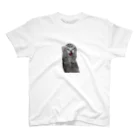 猫ミームグッズの絶望する子猫 Regular Fit T-Shirt