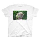LittlebeeGardenのsucculent2 スタンダードTシャツ