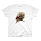 Ruice-Iceの犬　ガジガジ Regular Fit T-Shirt