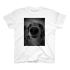 犬、猫　プリントの鼻ﾃﾞｶわんこ スタンダードTシャツ