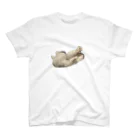 駐車場の猫寝 Regular Fit T-Shirt