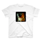 おむつ猫とびちゃんのぢっとおやつを見る猫 スタンダードTシャツ