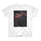 S204_Nanaのカモメ星雲 スタンダードTシャツ