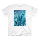 Royのgreat wave スタンダードTシャツ