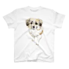 CELLOtoNERIの雑種犬セロ Regular Fit T-Shirt