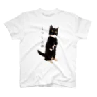 こはぜ日和  kohaze biyoriのくつした猫 スタンダードTシャツ