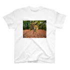 panchanphotoanimalsのこまりのスタンダードTシャツ Regular Fit T-Shirt