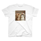 AQUAMETAVERSEの花のティアラをつけた子猫達　ラフルール　1859 スタンダードTシャツ