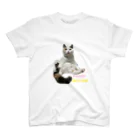 neko-noiruieの猫のいる家　ぽんずちゃん スタンダードTシャツ