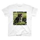 安達聖也の草むらの猫 Regular Fit T-Shirt