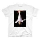ふよだすの花にあたま突っ込んでるミツバチ Regular Fit T-Shirt