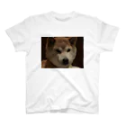 A_opal1のイッヌ🐶 スタンダードTシャツ