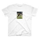 TERACHAUのFOOTBALL スタンダードTシャツ